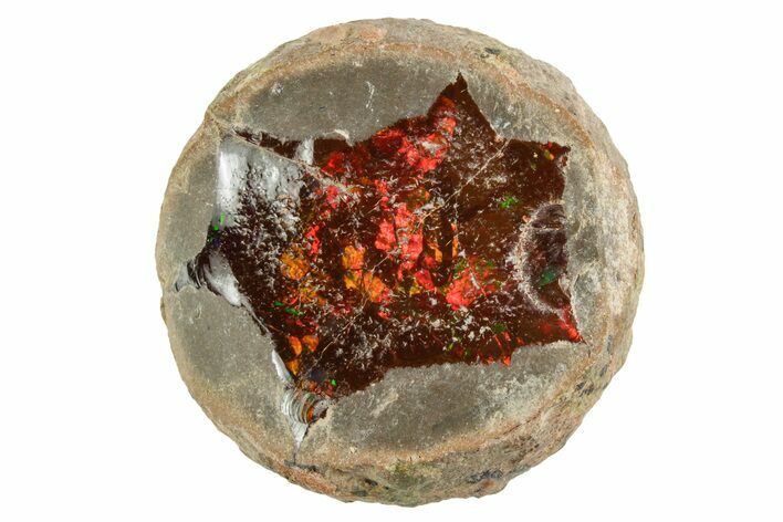 Ethiopian Chocolate Opal Nodule - Yita Ridge #369139